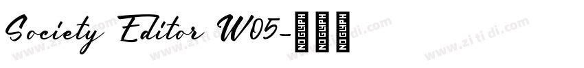 Society Editor W05字体转换